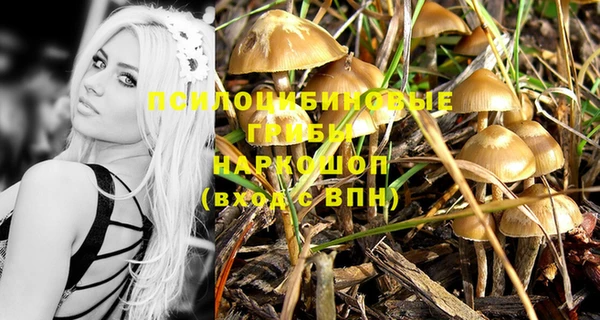 прущая мука Заводоуковск